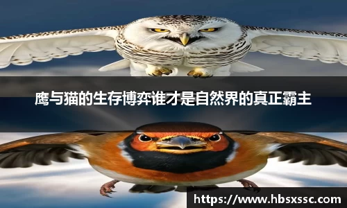 鹰与猫的生存博弈谁才是自然界的真正霸主